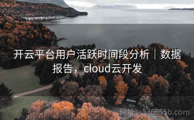 开云平台用户活跃时间段分析｜数据报告，cloud云开发  第2张