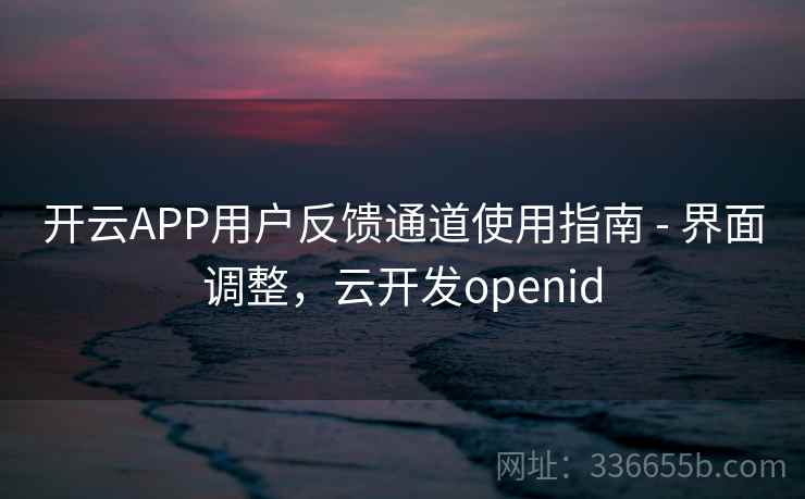 开云APP用户反馈通道使用指南 - 界面调整，云开发openid