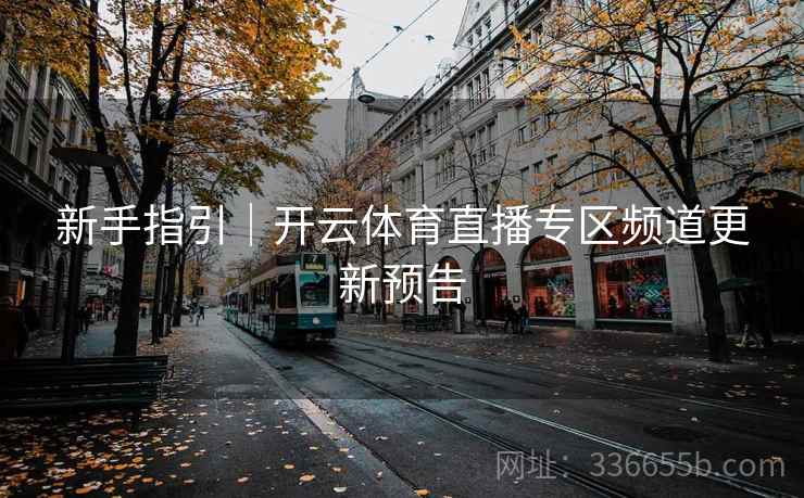 新手指引｜开云体育直播专区频道更新预告